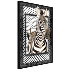 Zebra in the Frame