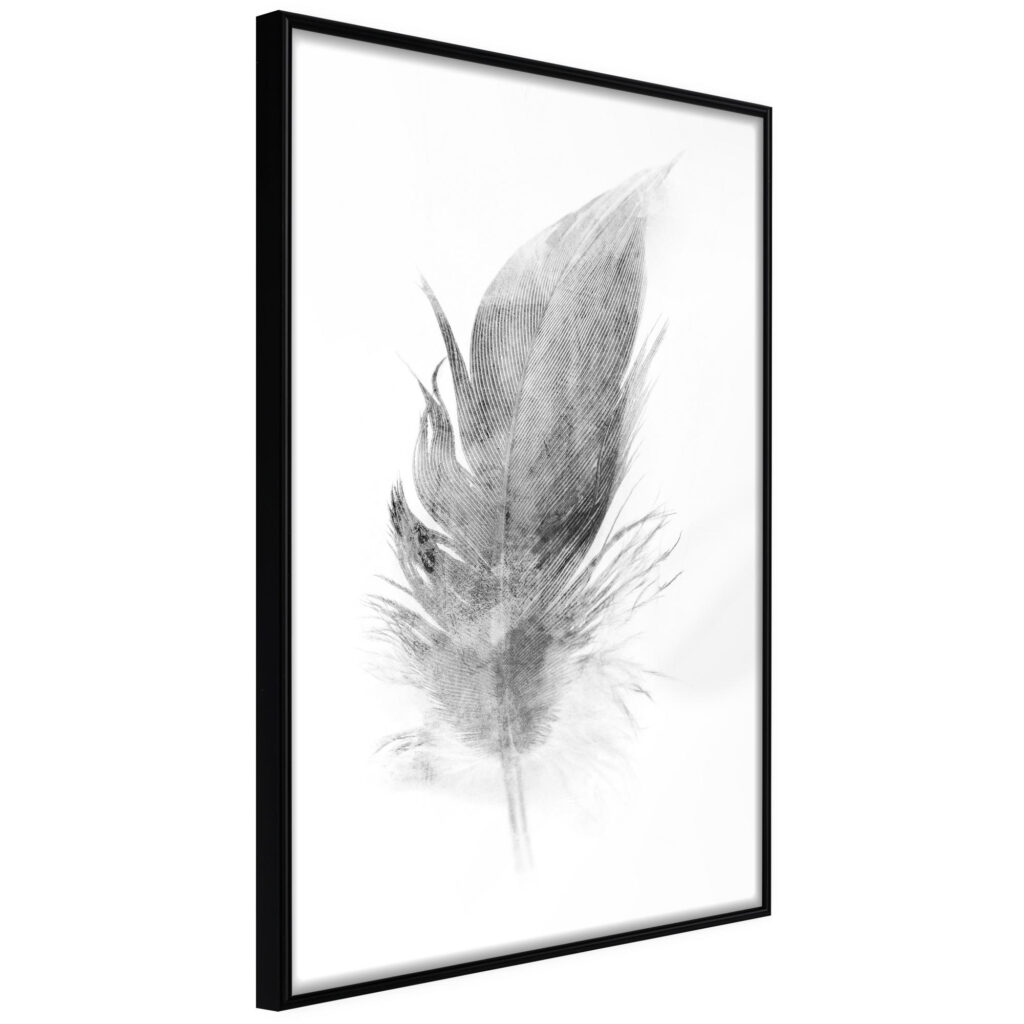Lost Feather (Grey)