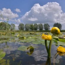 Foto behang Eem Holland 3031