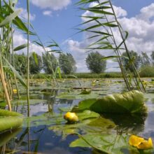 Foto behang Eem 2 Holland 3043