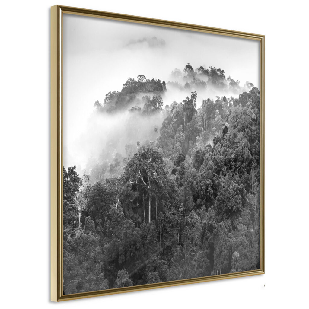 Foggy Forest - Afbeelding 3