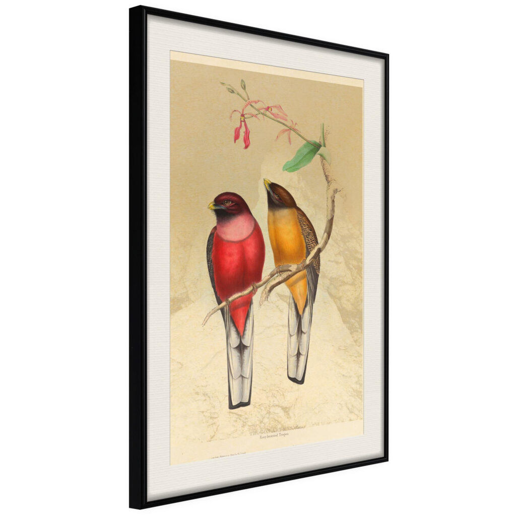 Ornithologist's Drawings - Afbeelding 2