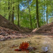 Foto behang Mariendaal 2 Holland 3536