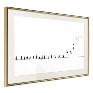 Birds on a Wire