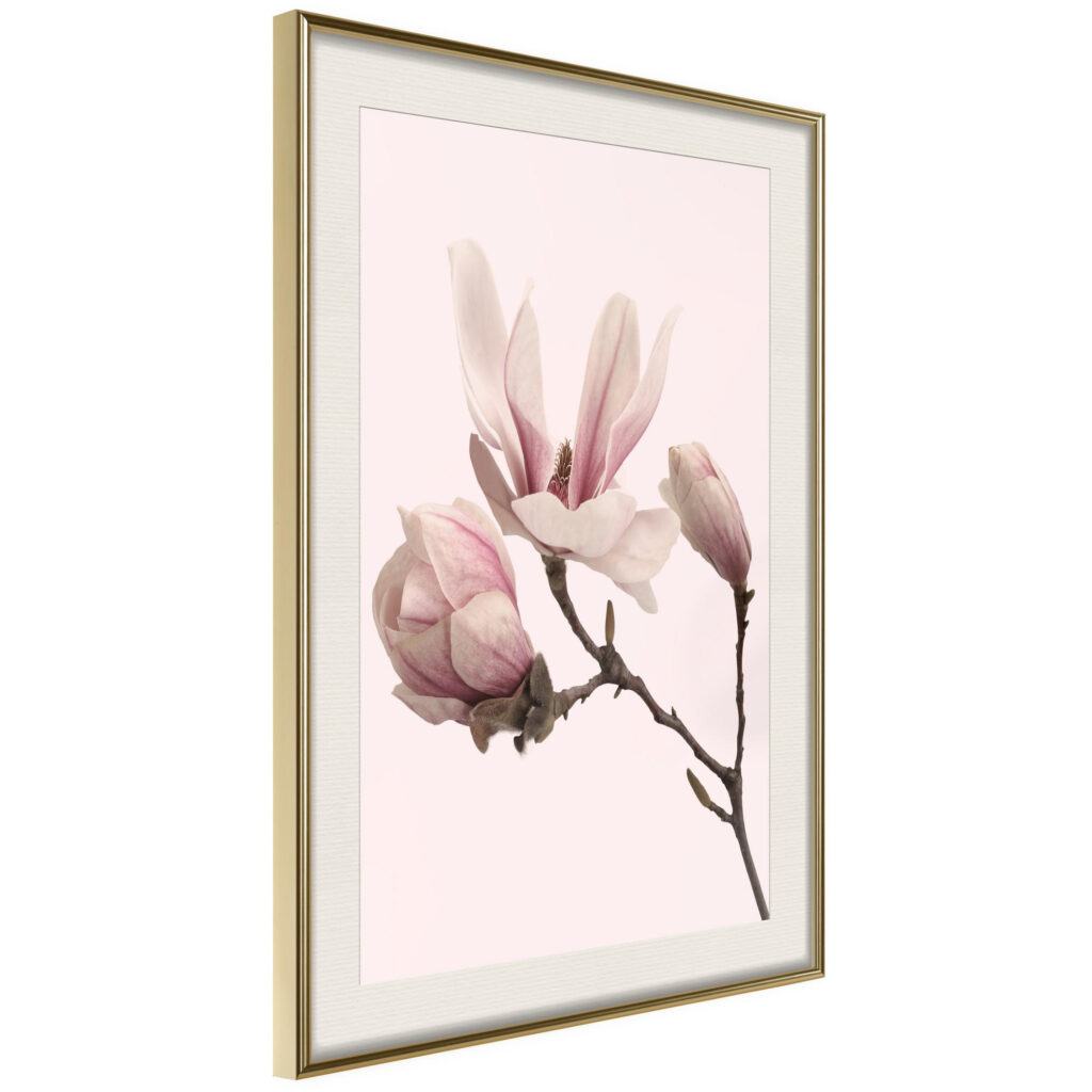 Blooming Magnolias II - Afbeelding 3