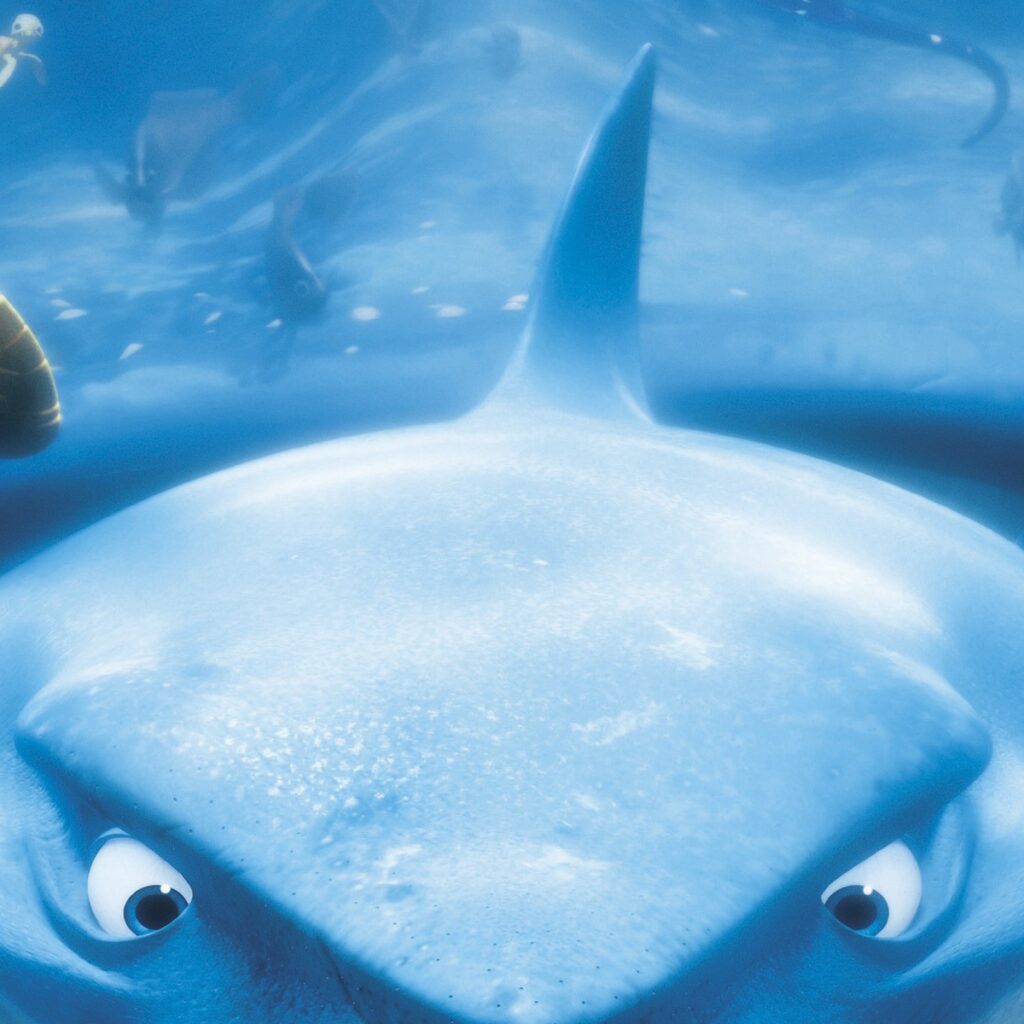 Foto behang Nemo 4-406 - Afbeelding 3