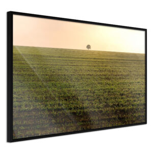 Farmland