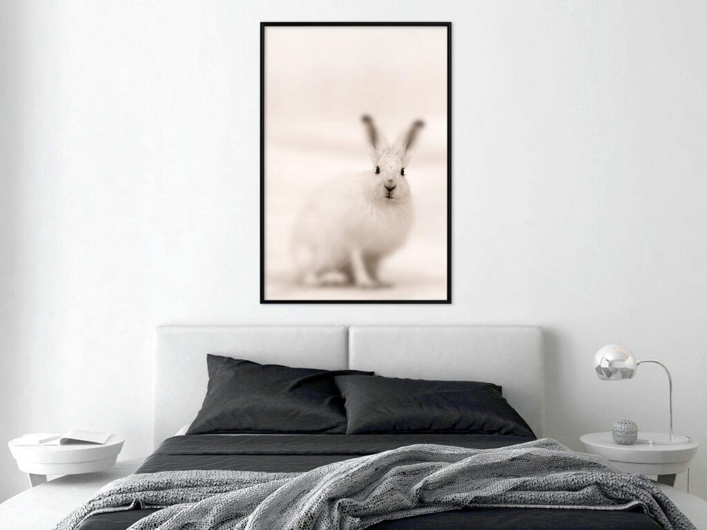Curious Rabbit - Afbeelding 3
