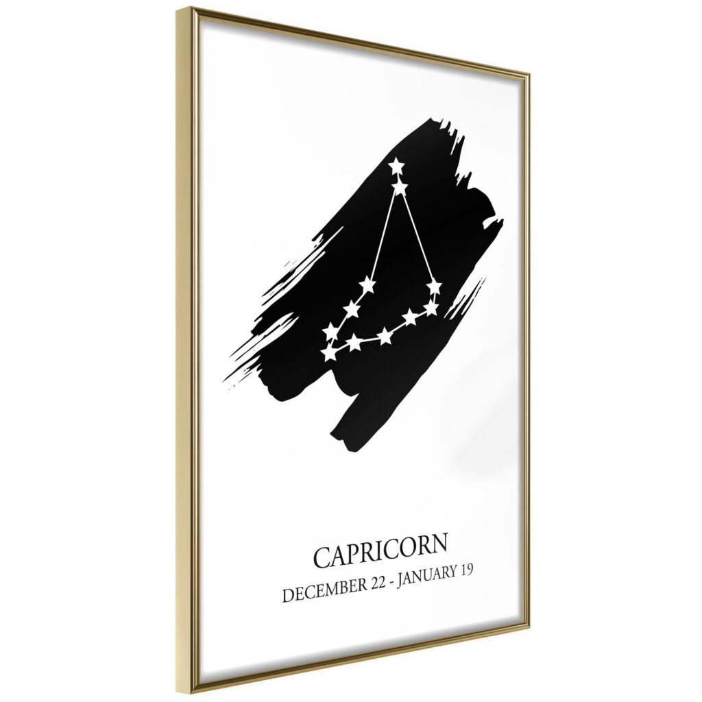 Zodiac: Capricorn I - Afbeelding 2