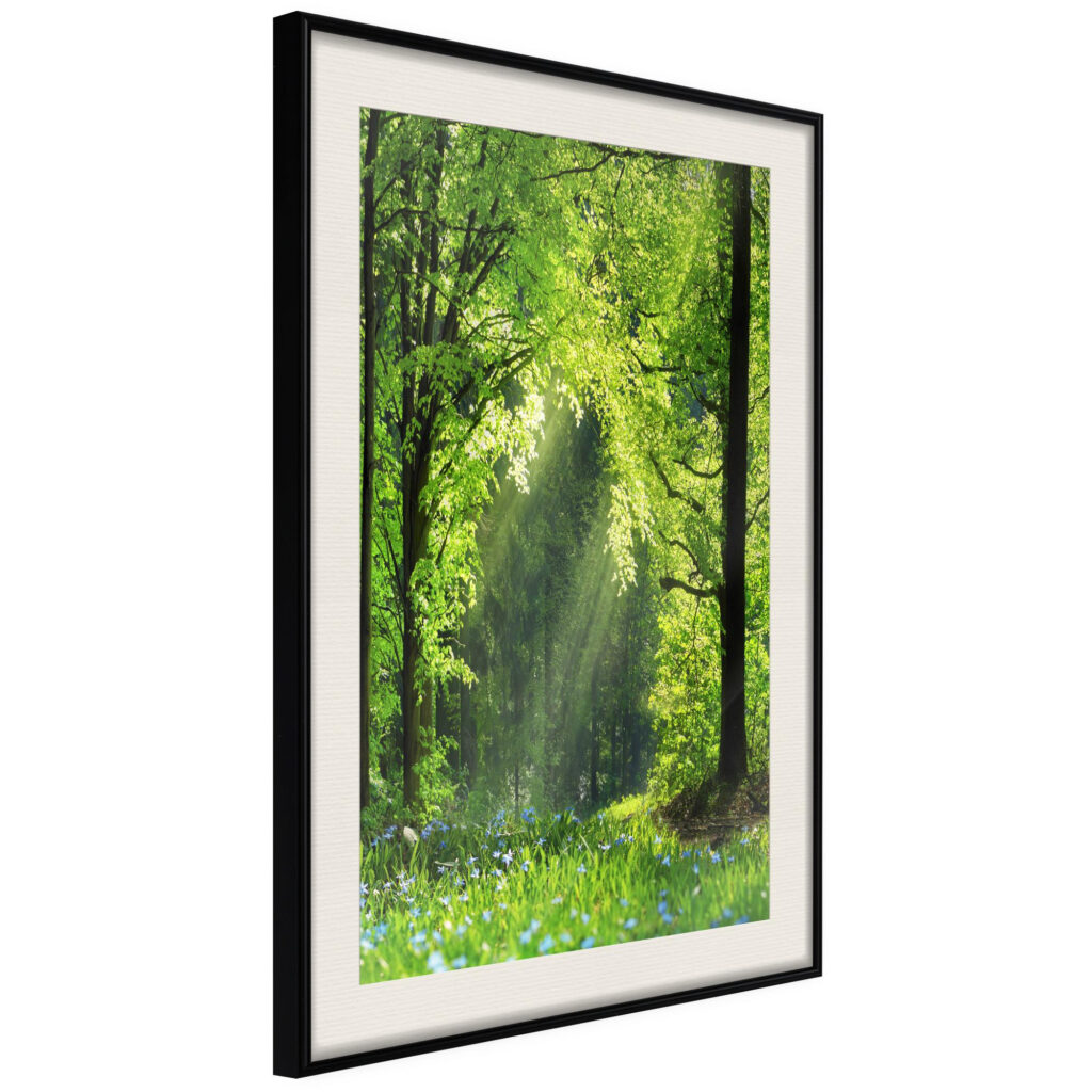 Forest Path - Afbeelding 2