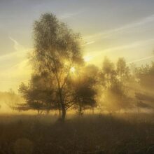Foto behang Herfstochtend Holland 4611