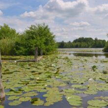 Foto behang Loosdrecht Holland 4624