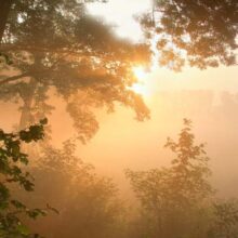 Foto behang Doorwerth ochtendlicht Holland 4646