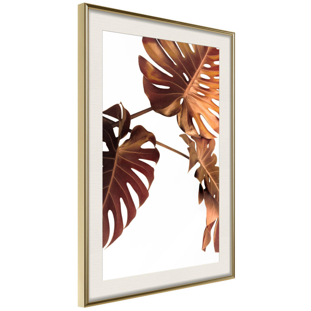 Copper Monstera - Afbeelding 4