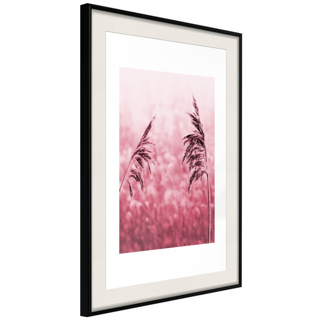 Amaranth Meadow