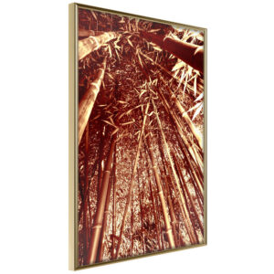 Asian Forest