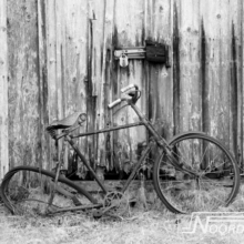 Foto behang Driven Noordwand