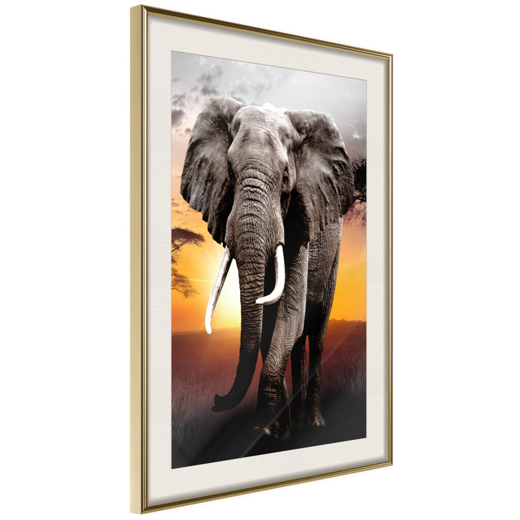 Majestic Elephant
