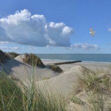 Foto behang Burg Haamstede Duinen Holland 5483