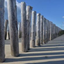 Foto behang Strandpalen Holland 5520