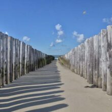 Foto behang Strandpalen 2 Holland 5533