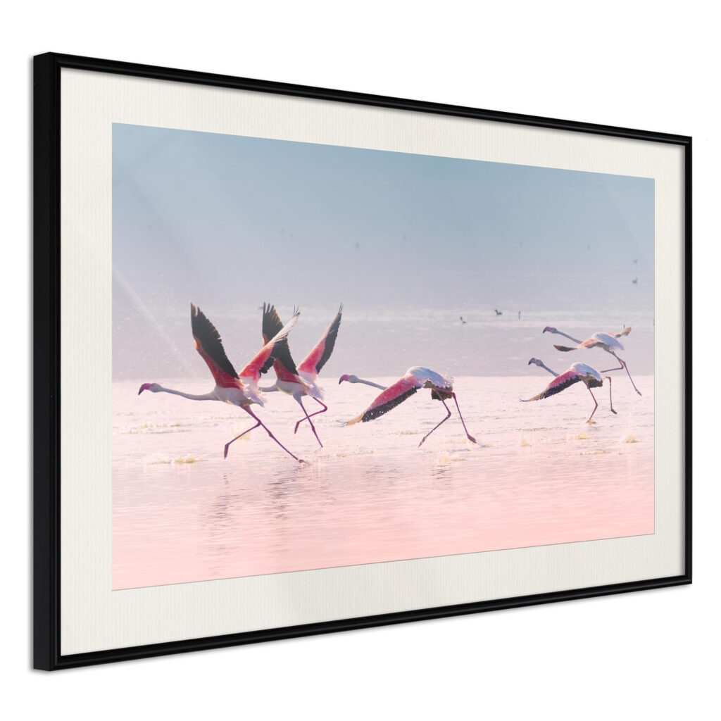 Flamingos Breaking into a Flight - Afbeelding 2