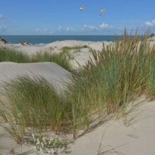 Foto behang Duinen 2 Holland 5602