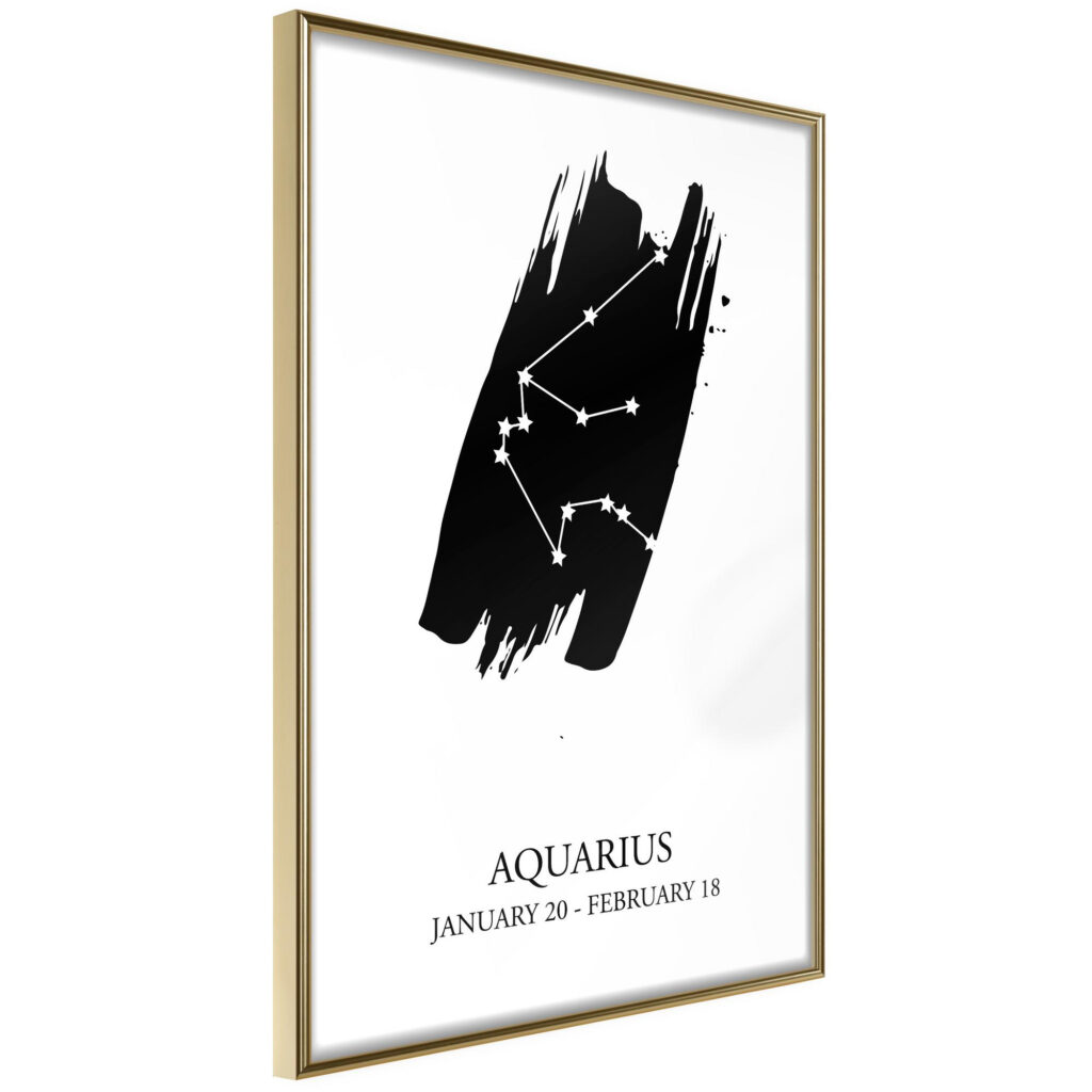 Zodiac: Aquarius I - Afbeelding 2