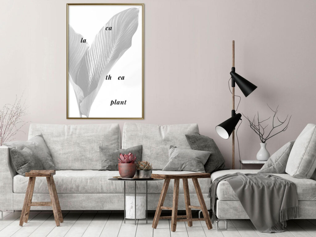 Calathea Leaves - Afbeelding 2