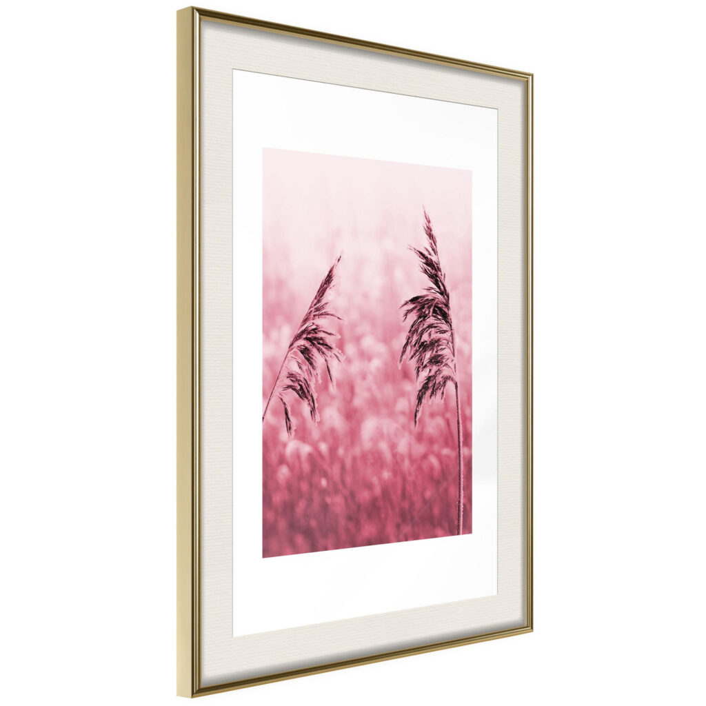 Amaranth Meadow - Afbeelding 2