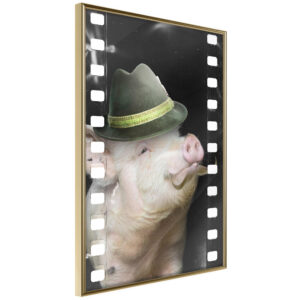 Dressed Up Piggy