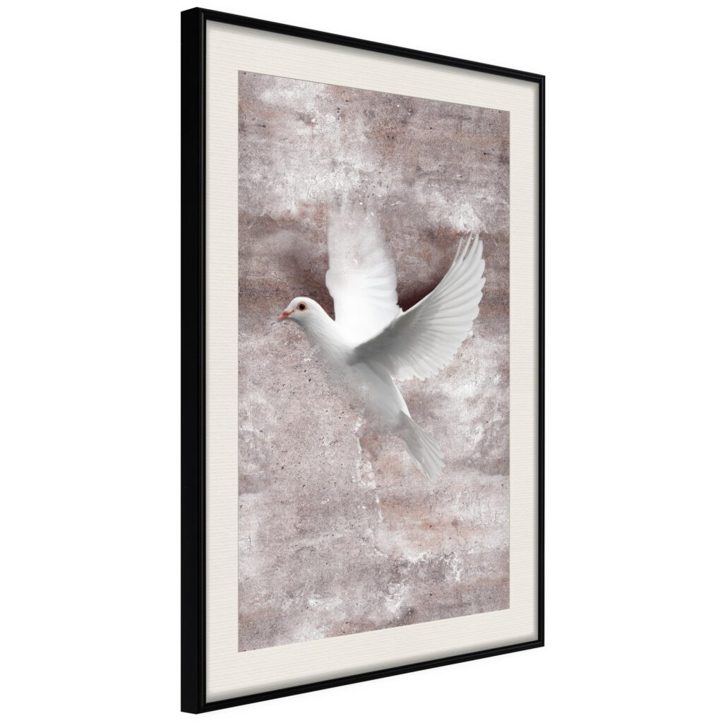White Dreams - Afbeelding 2