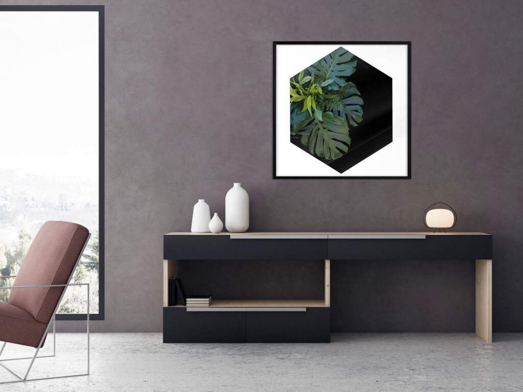 Cell of Jungle