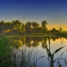 Foto behang Rotte Holland 6091