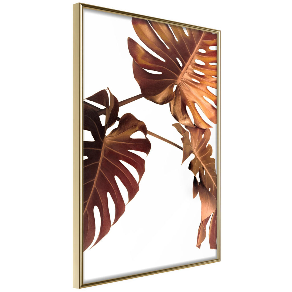 Copper Monstera - Afbeelding 3