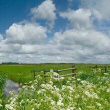 Foto behang Nijkerk Arkenheem Holland 6516