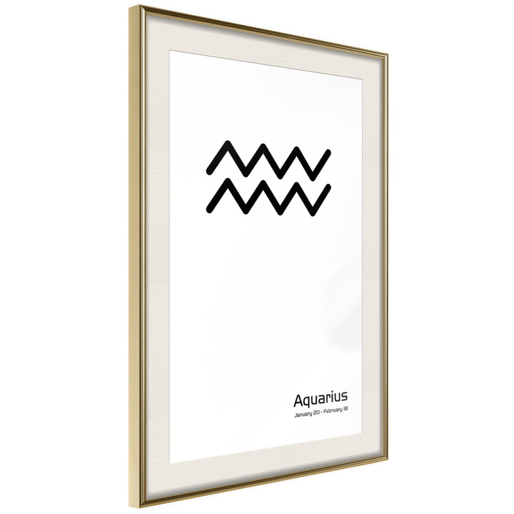 Zodiac: Aquarius II