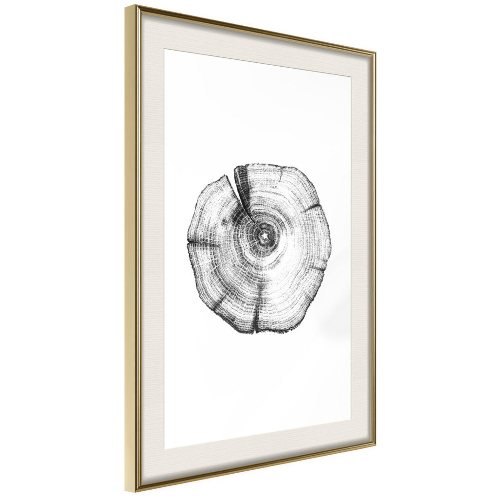 Tree Rings