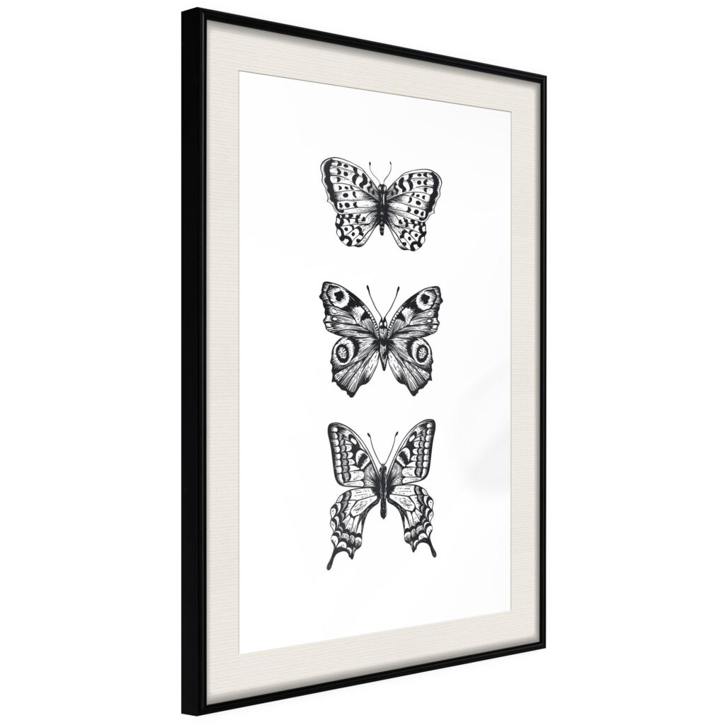 Butterfly Collection III - Afbeelding 2