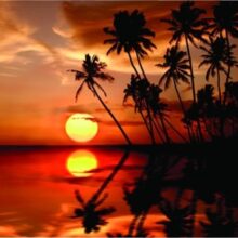 Foto behang Zonsondergang 70012 Dutch Digiwall