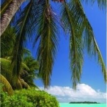 Foto behang Tropisch Strand 70029 Dutch Digiwall