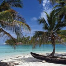 Foto behang Tropisch Strand 70041 Dutch Digiwall