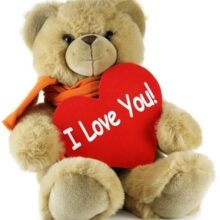 Foto behang Bear 70051 Dutch Digiwall