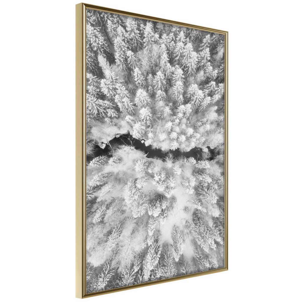 Frost Land