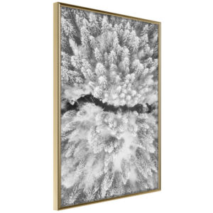 Frost Land