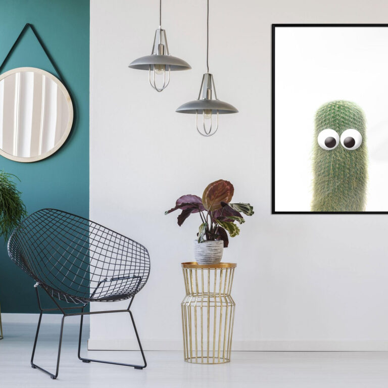 Funny Cactus IV