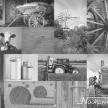 Foto behang Farm Life Noordwand