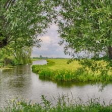 Foto behang Woerden Holland 7590