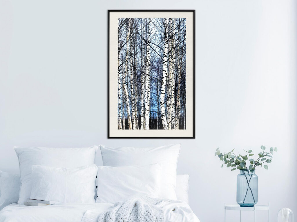 Winter Birch Trees