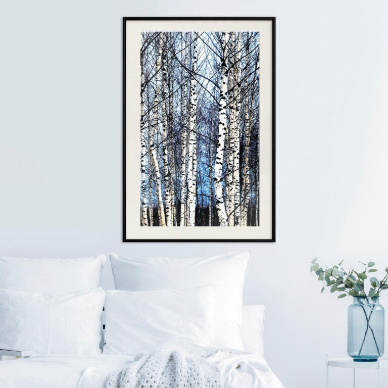 Winter Birch Trees